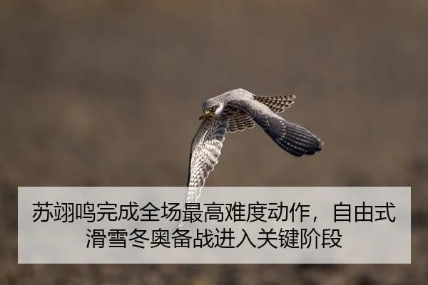 su-yi-ming-wan-cheng-quan-chang-zui-gao-nan-du-dong-zuo-zi-you-shi-hua-xue-dong-ao-bei-zhan-jin-ru-guan-jian-jie-duan-2-628.jpg